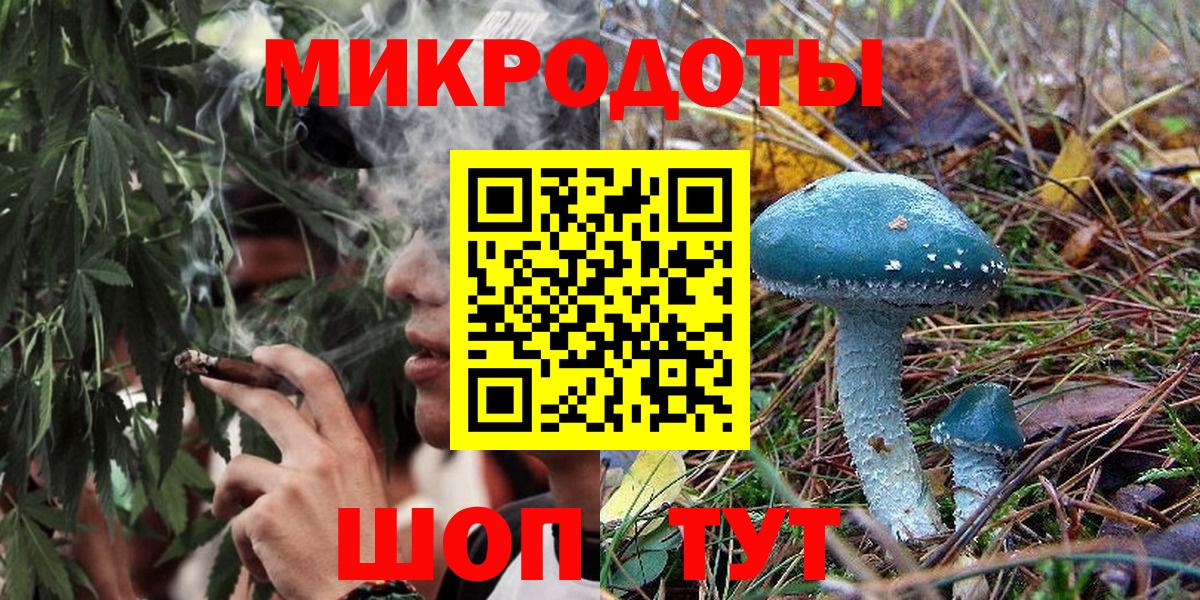 Псилоцибиновые грибы прущие грибы Ставрополь